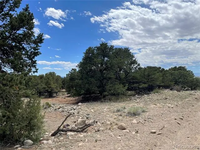 3855 Jubilant Way Crestone, CO 81131