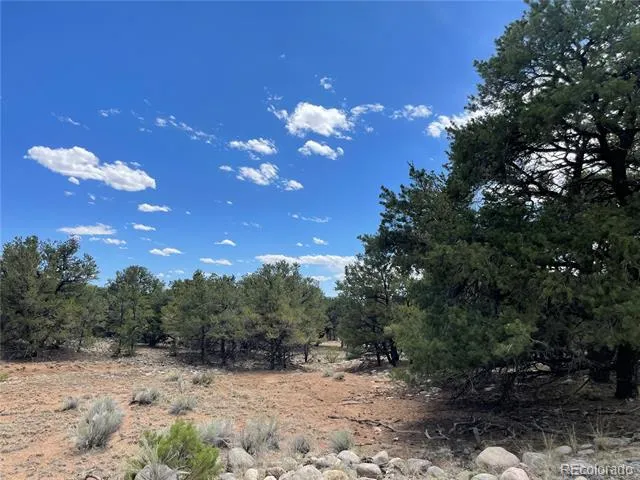 3855 Jubilant Way Crestone, CO 81131
