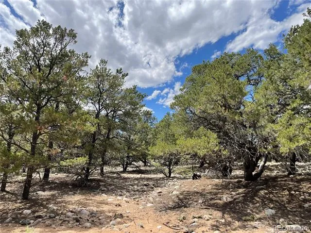 3855 Jubilant Way Crestone, CO 81131