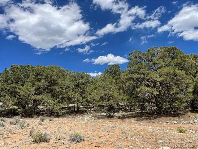 3855 Jubilant Way Crestone, CO 81131