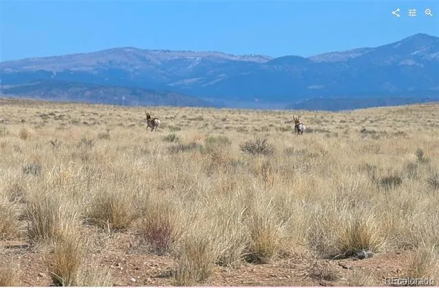 Lot 4 Grandby Rd. Blanca, CO 81123