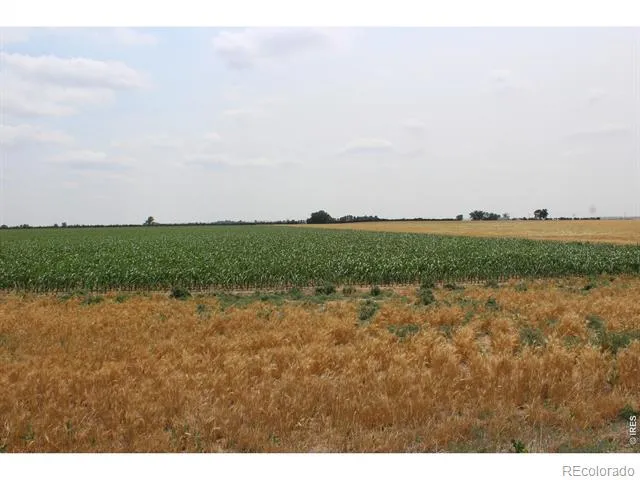9614 County Road 6 Wiggins, CO 80654