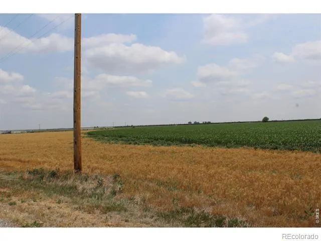 9614 County Road 6 Wiggins, CO 80654