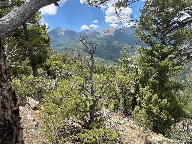 Lot 54 Knotty Pine Road Howard, CO 81233