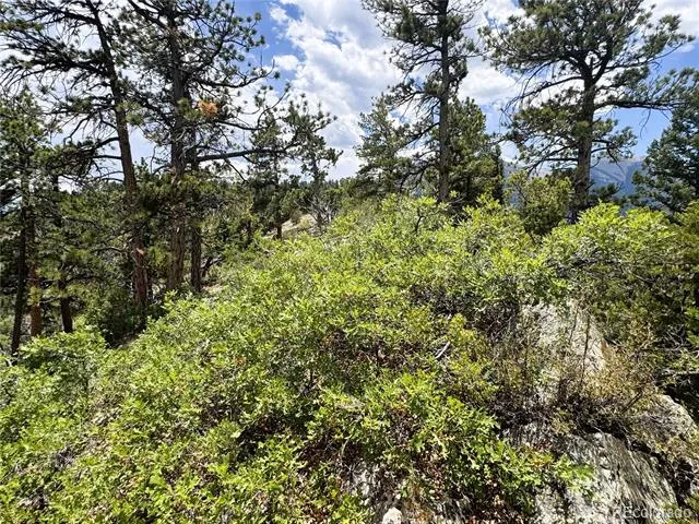 Lot 54 Knotty Pine Road Howard, CO 81233