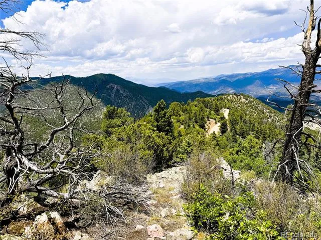 Lot 54 Knotty Pine Road Howard, CO 81233