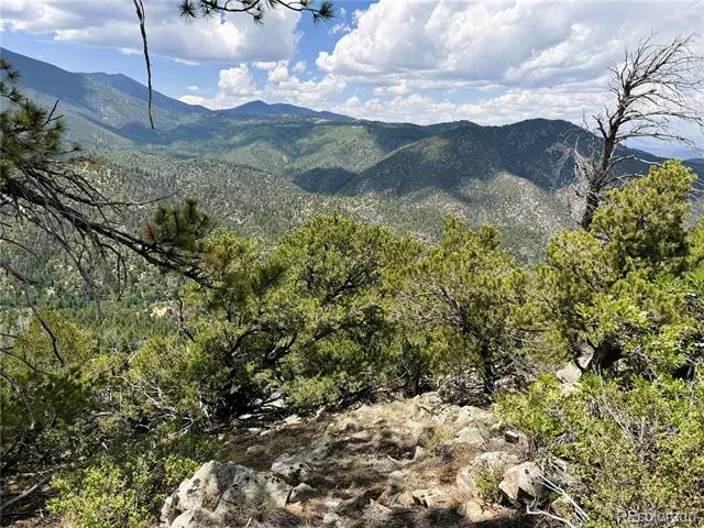 Lot 54 Knotty Pine Road Howard, CO 81233