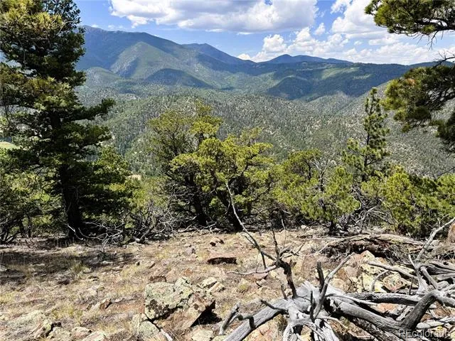 Lot 54 Knotty Pine Road Howard, CO 81233