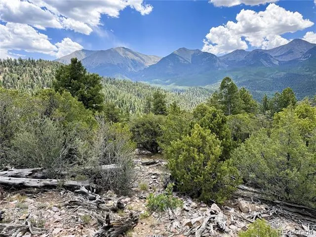 Lot 54 Knotty Pine Road Howard, CO 81233