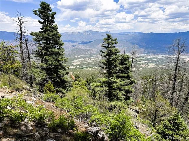 Lot 54 Knotty Pine Road Howard, CO 81233