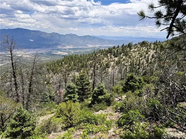 Lot 54 Knotty Pine Road Howard, CO 81233
