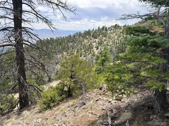 Lot 54 Knotty Pine Road Howard, CO 81233