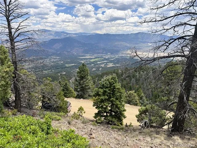 Lot 54 Knotty Pine Road Howard, CO 81233