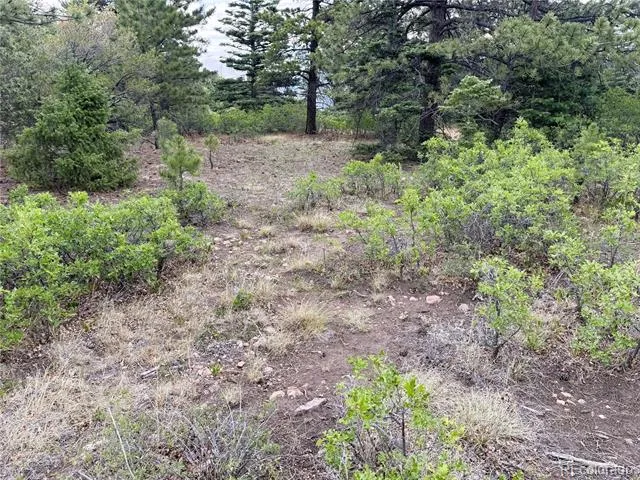 Lot 54 Knotty Pine Road Howard, CO 81233