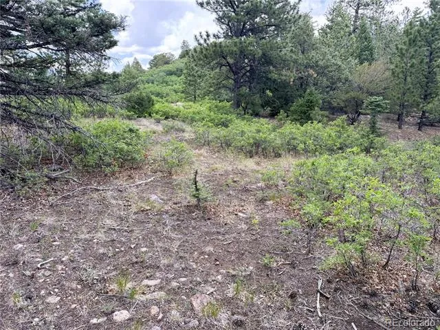 Lot 54 Knotty Pine Road Howard, CO 81233