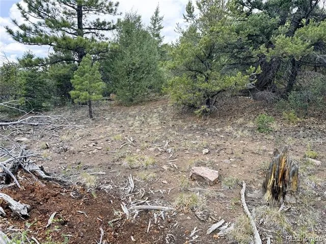 Lot 54 Knotty Pine Road Howard, CO 81233