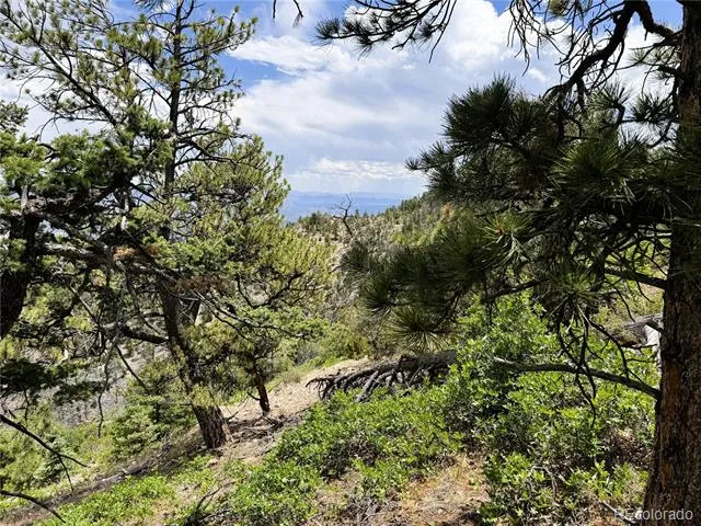 Lot 54 Knotty Pine Road Howard, CO 81233