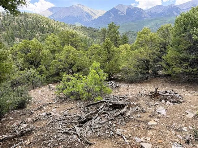 Lot 54 Knotty Pine Road Howard, CO 81233
