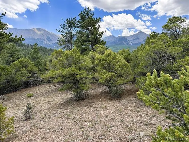 Lot 54 Knotty Pine Road Howard, CO 81233
