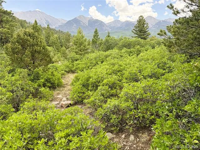 Lot 54 Knotty Pine Road Howard, CO 81233