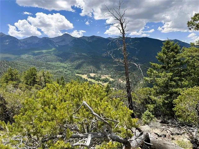 Lot 54 Knotty Pine Road Howard, CO 81233