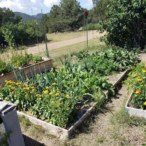 2873 County Road 1 Cotopaxi, CO 81223