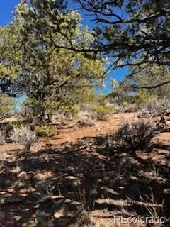 Lot 4360 Mahoney Road San Luis, CO 81152