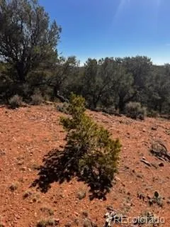 Lot 4360 Mahoney Road San Luis, CO 81152