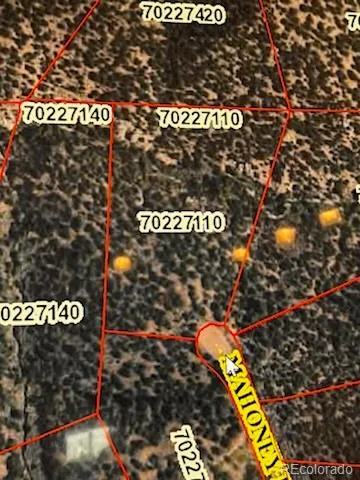 Lot 4360 Mahoney Road San Luis, CO 81152