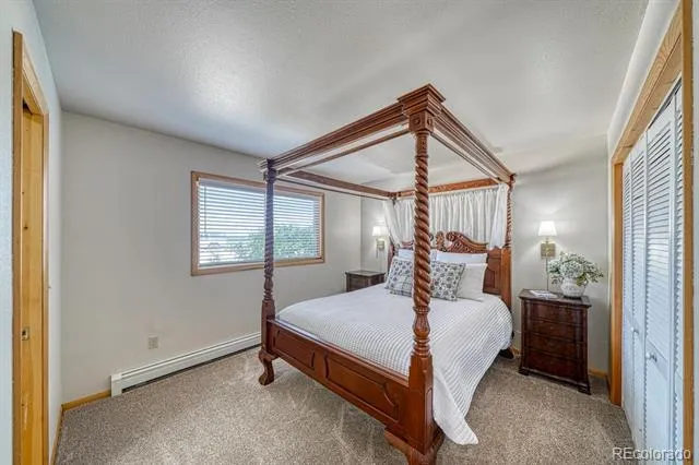 895 Acorn Rd Cotopaxi, CO 81223