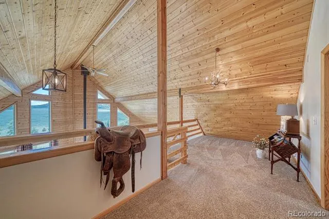 895 Acorn Rd Cotopaxi, CO 81223