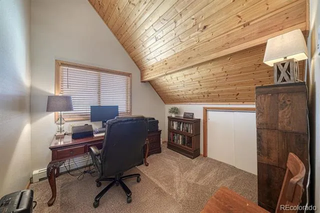 895 Acorn Rd Cotopaxi, CO 81223