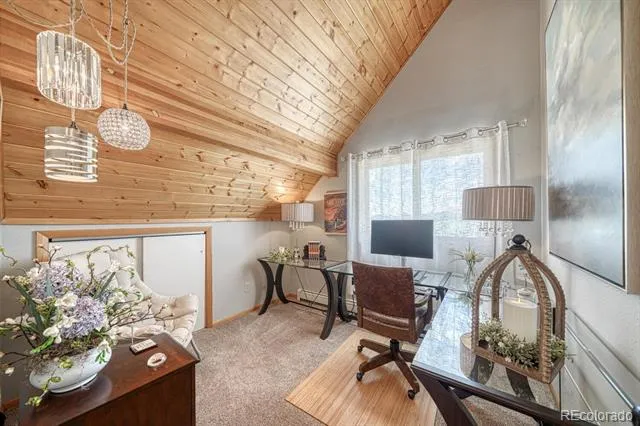 895 Acorn Rd Cotopaxi, CO 81223