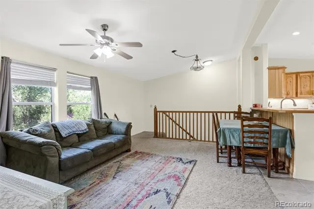 10218 Rodeo Park Drive Poncha Springs, CO 81242