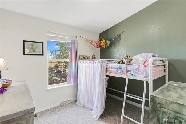 10218 Rodeo Park Drive Poncha Springs, CO 81242