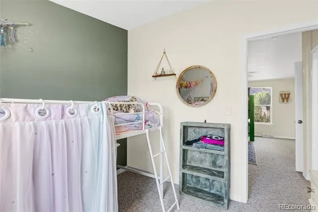 10218 Rodeo Park Drive Poncha Springs, CO 81242