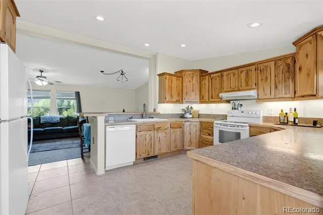 10218 Rodeo Park Drive Poncha Springs, CO 81242