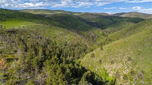 12711 Buckhorn Road Loveland, CO 80538