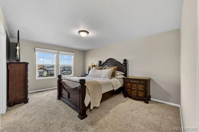 10087 Beckham Street Peyton, CO 80831
