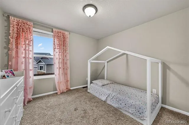 10087 Beckham Street Peyton, CO 80831