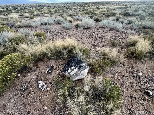 lot 4 Ninth Street Blanca, CO 81123