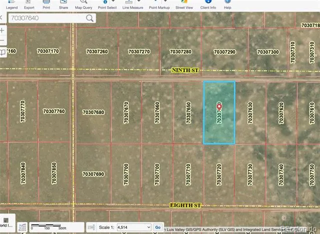 lot 4 Ninth Street Blanca, CO 81123