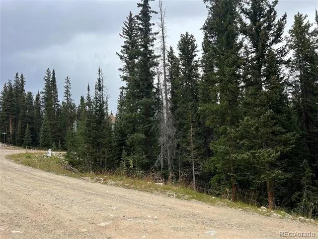 134 El Lobo Lane Fairplay, CO 80440