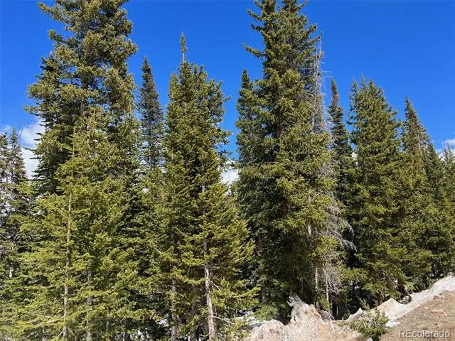 134 El Lobo Lane Fairplay, CO 80440