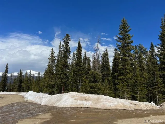 134 El Lobo Lane Fairplay, CO 80440