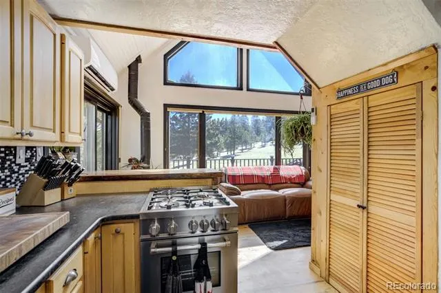 1726 County Road 104 Guffey, CO 80820