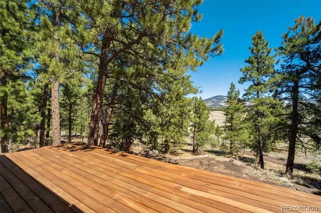 1726 County Road 104 Guffey, CO 80820