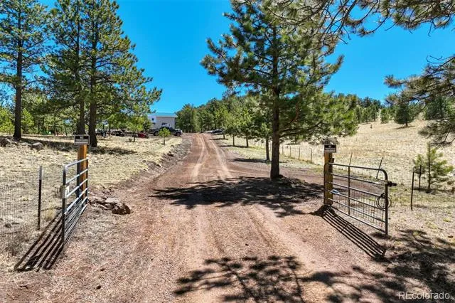 1726 County Road 104 Guffey, CO 80820