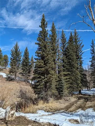 60 Powder Horn Trail Bellvue, CO 80512