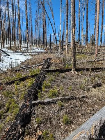 60 Powder Horn Trail Bellvue, CO 80512